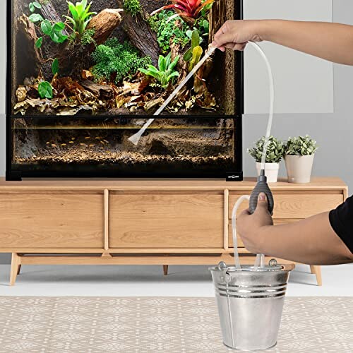 Person using siphon to clean terrarium with plants.