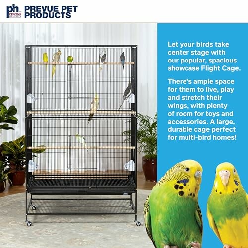 Large bird cage with multiple parrots and promotional text.