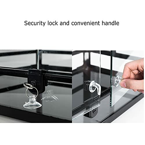 Glass display case with security lock and convenient handle